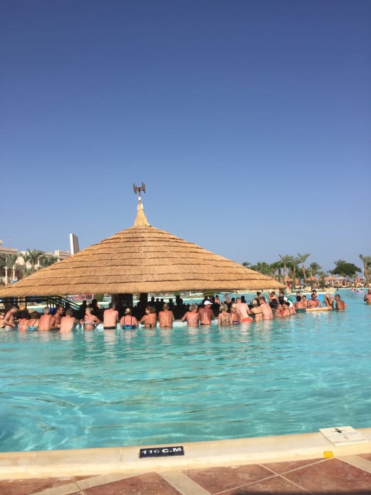 Pool Pickalbatros Palace Resort