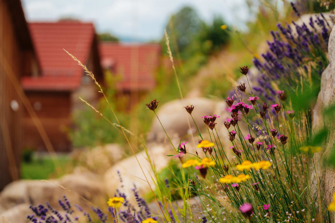 Außenansicht Das SCHIERKE Harzresort am Brocken