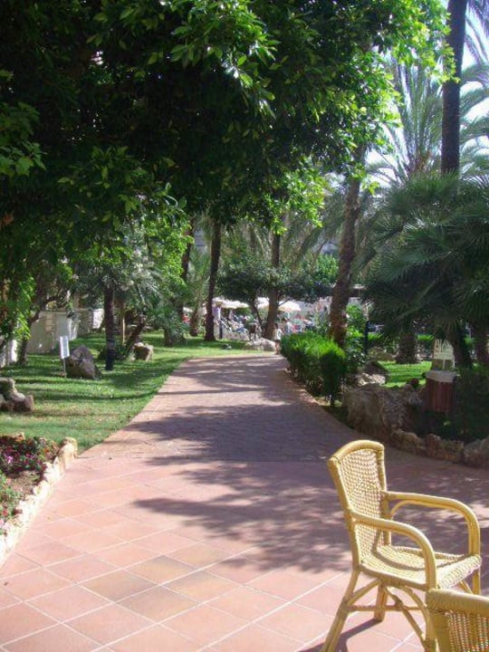 Weg zum Pool Protur Palmeras Playa Aparthotel