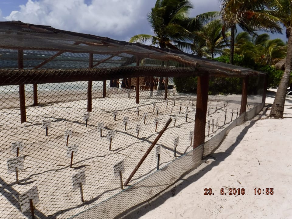 Strand Grand Palladium Kantenah Resort & Spa