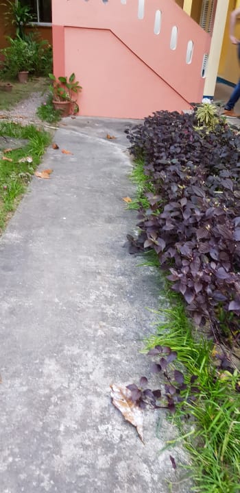 Außenansicht Reef Holiday Apartments