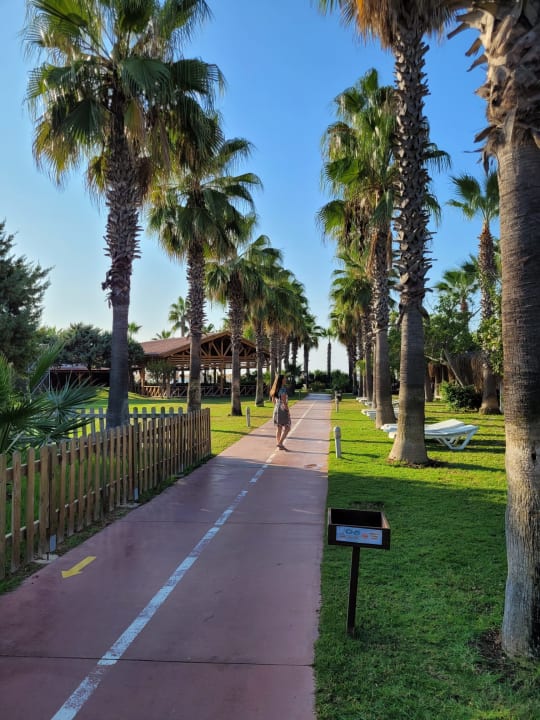 Gartenanlage Saturn Palace Resort Hotel