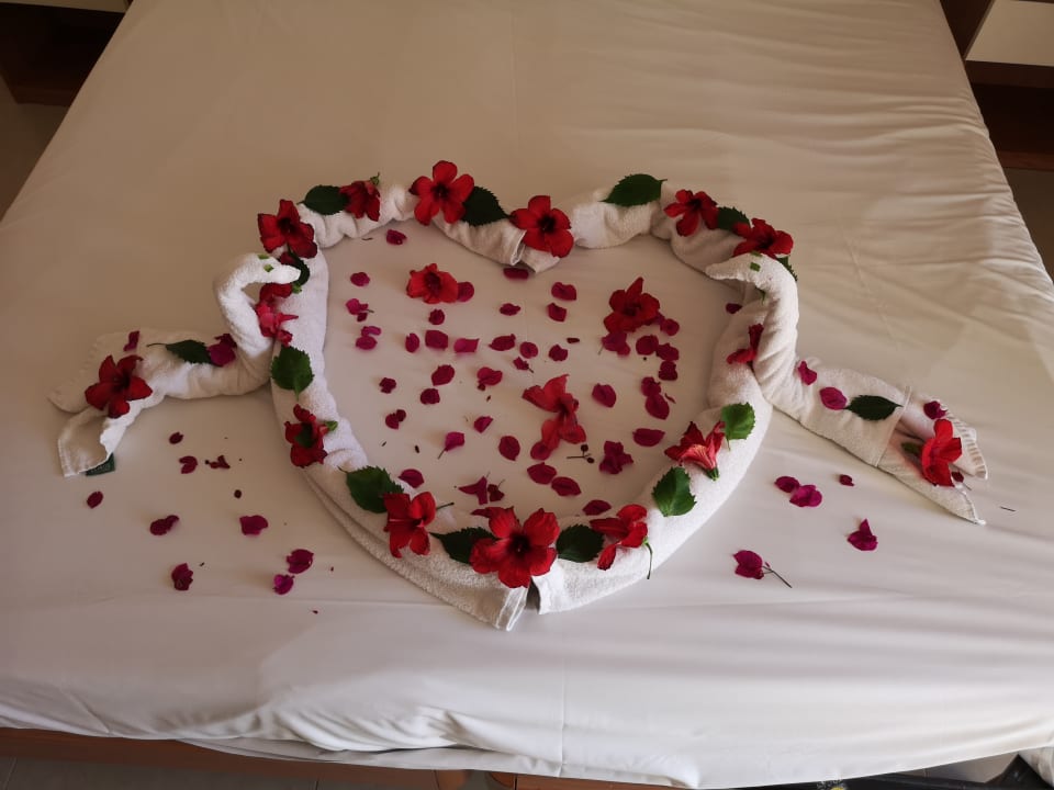 Zimmer Apollon Hotel