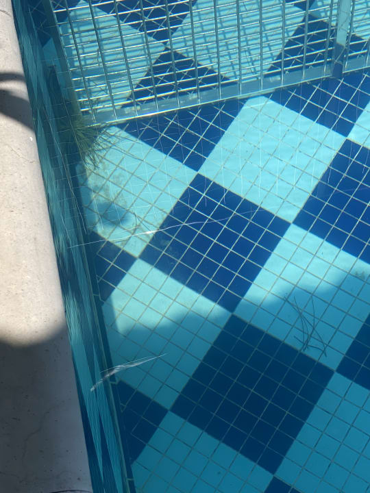Pool Kempinski Hotel The Dome Belek