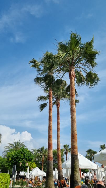 Gartenanlage Side Mare Resort & Spa