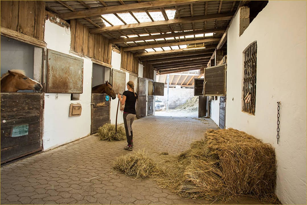 Rundgang per FotoShooting Sommer 2015 Hotel Reiterhof Altmühlsee