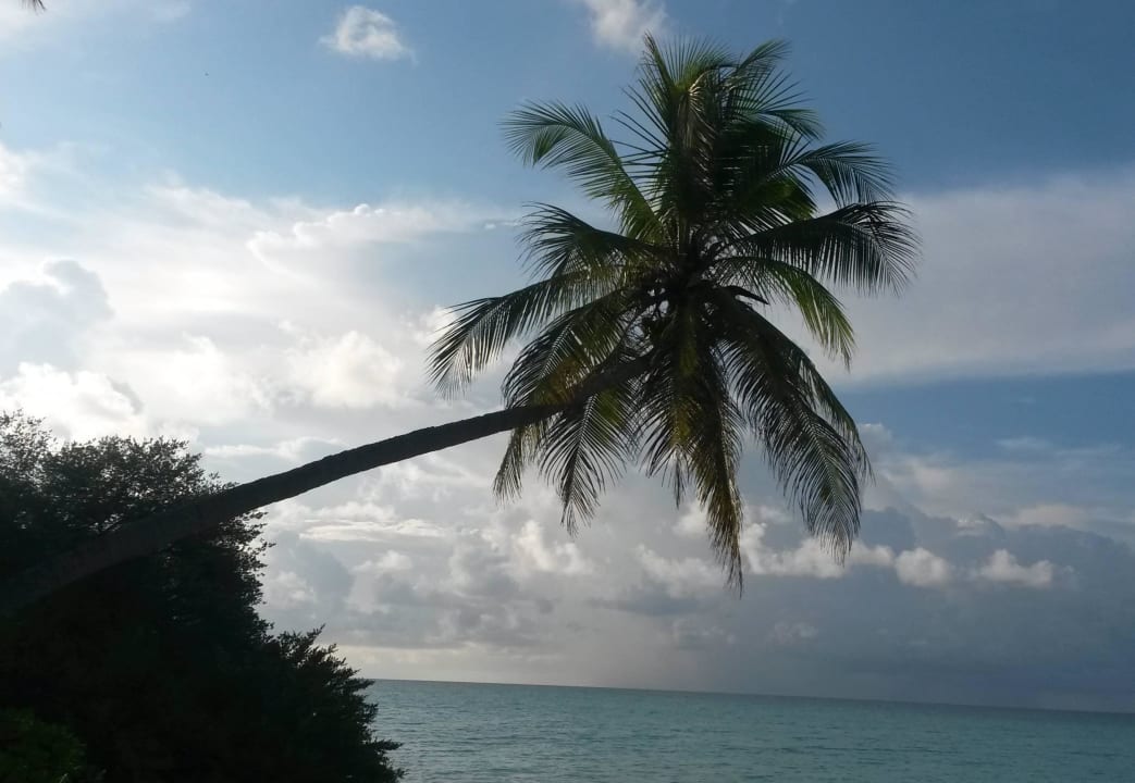 Strand Kuramathi Maldives