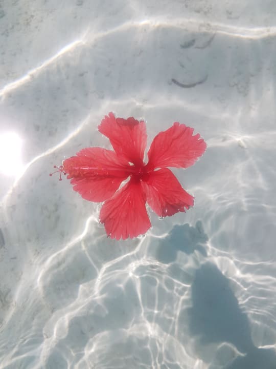 Glasklar Meeru Maldives Resort Island