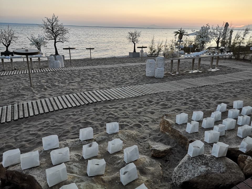 Sonstiges Ikos Olivia