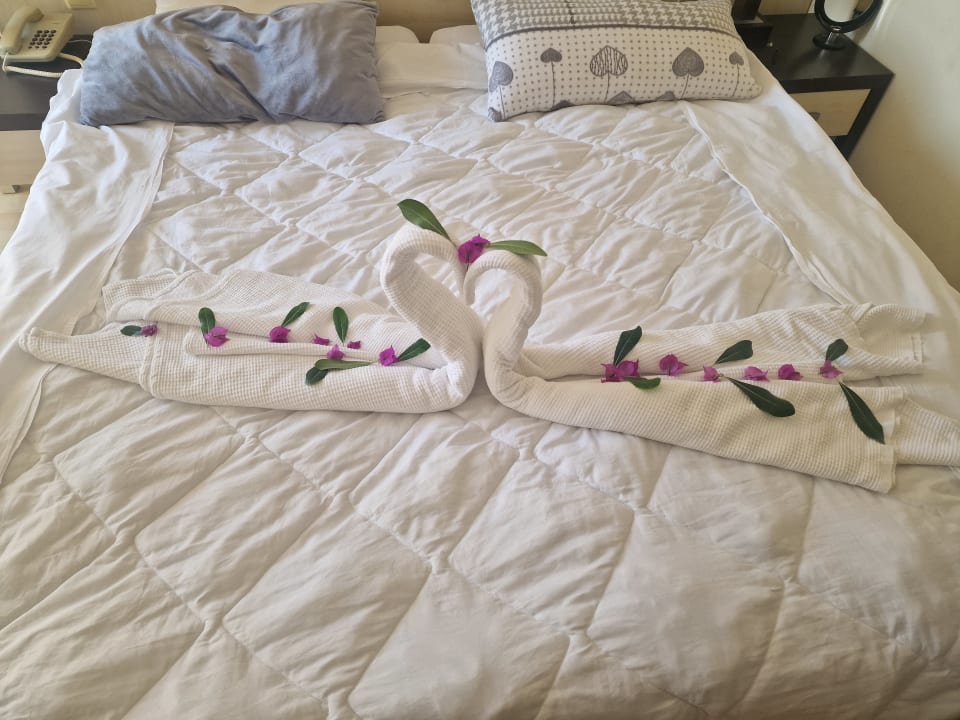 Zimmer Hotel Orfeus Park