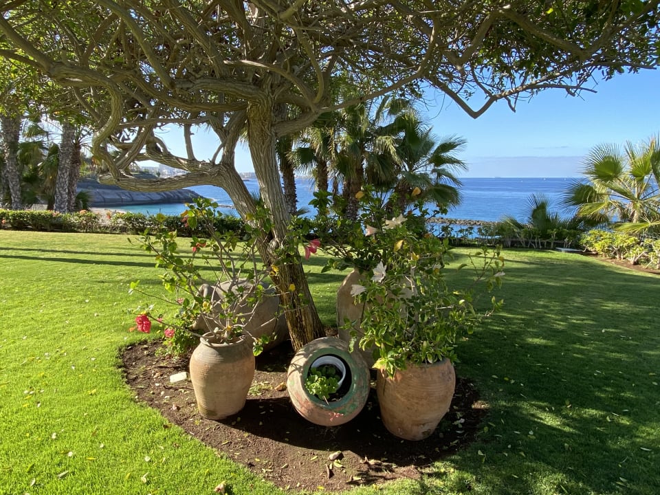 Außenansicht JOIA El Mirador by Iberostar