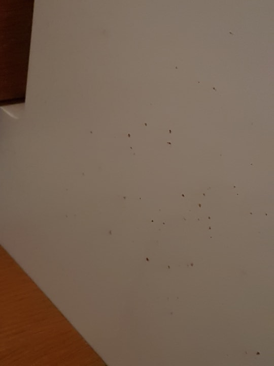 Zimmer Gasthaus zur Noll