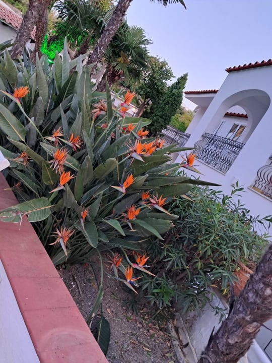 Gartenanlage Hotel Park Imperial Terme