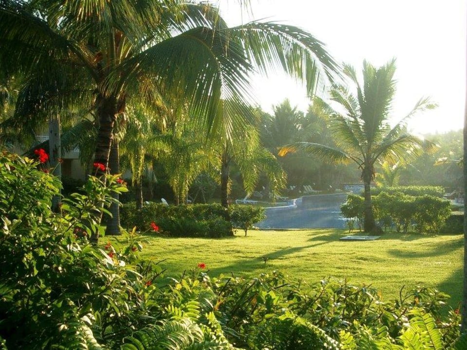 Gartenanlage mit Anfang des Pools Wyndham Alltra Punta Cana