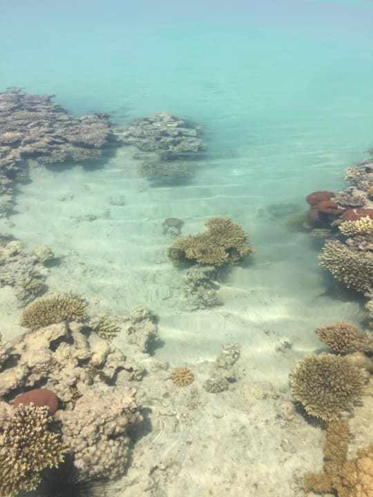 Strand Stella Garden Resort & Spa, Makadi Bay