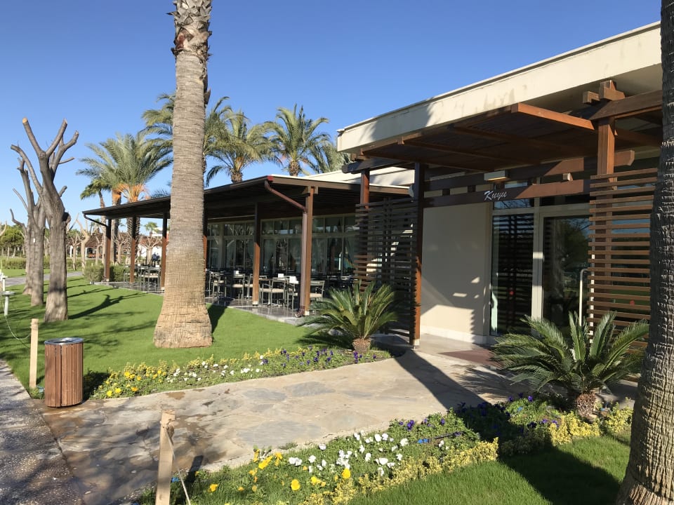 Gastro Lara Barut Collection