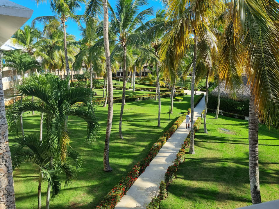 Gartenanlage Hotel Viva Dominicus Beach by Wyndham - All Inclusive Resort