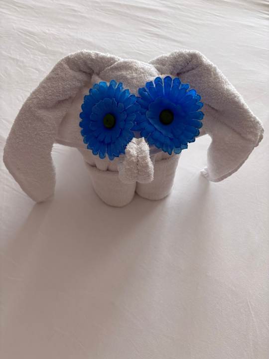 Zimmer TUI MAGIC LIFE Masmavi