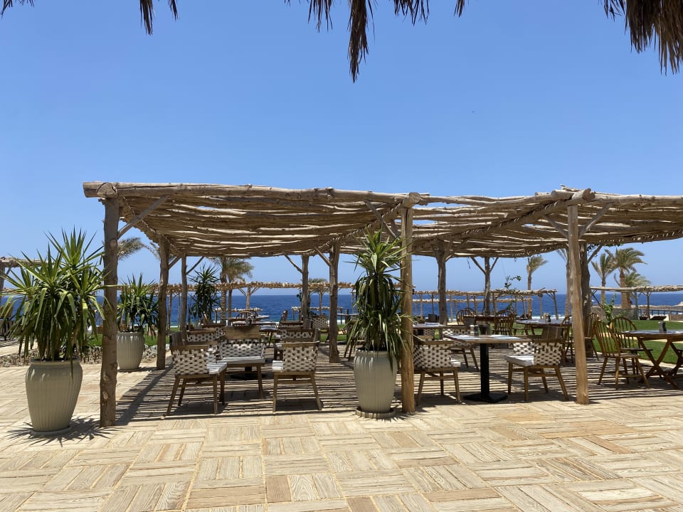Gastro Steigenberger Resort Alaya Marsa Alam - Red Sea - Adults only
