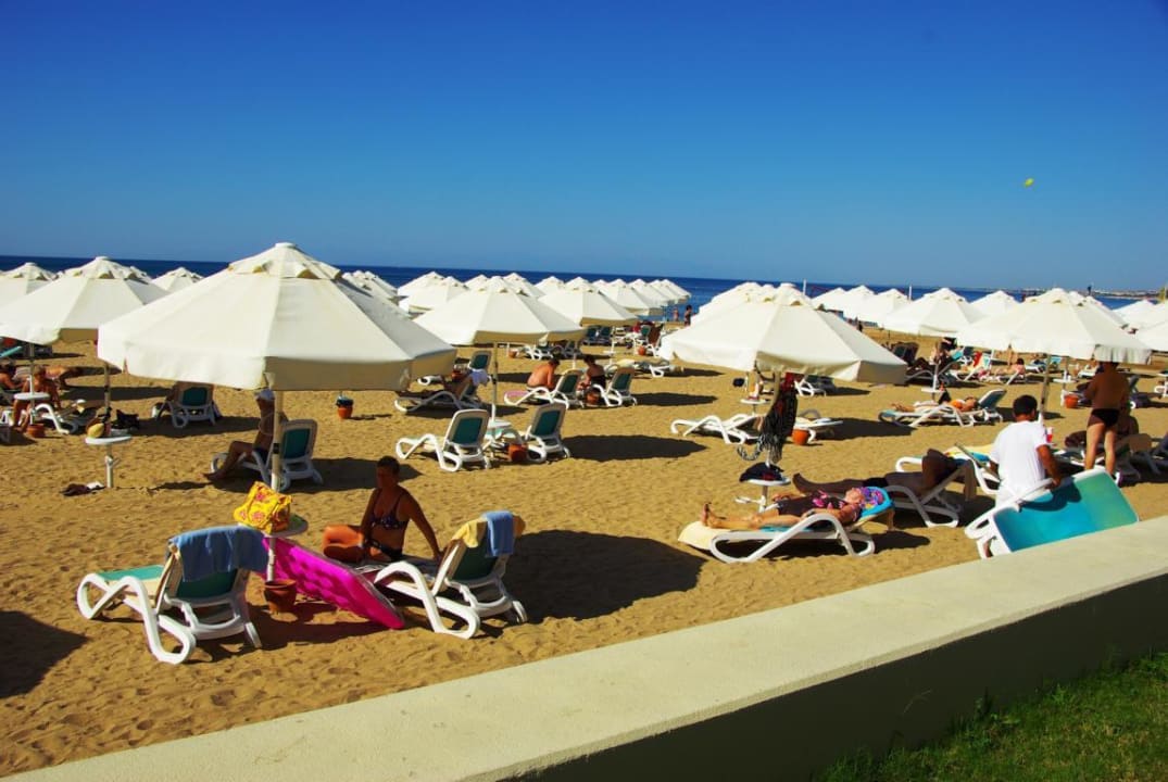 Am 25.10.2012 PALOMA Perissia