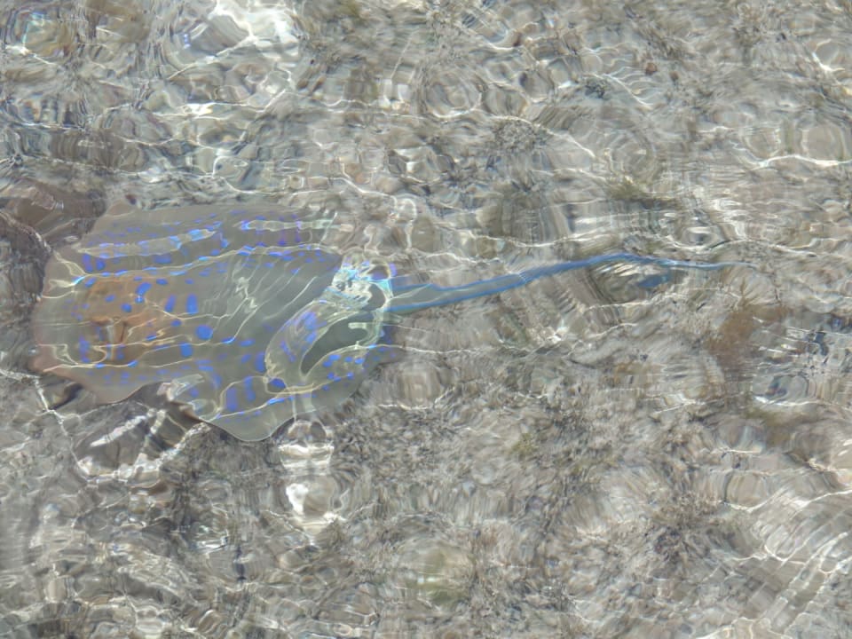 Strand Casa Mare Resort