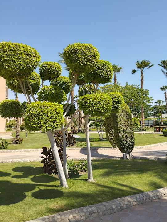 Gartenanlage Continental Hotel Hurghada