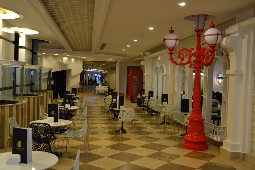 Camelotbar Hotel Delphin Imperial