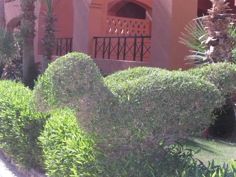 Figuren Hotel JAZ Makadi Star & Spa