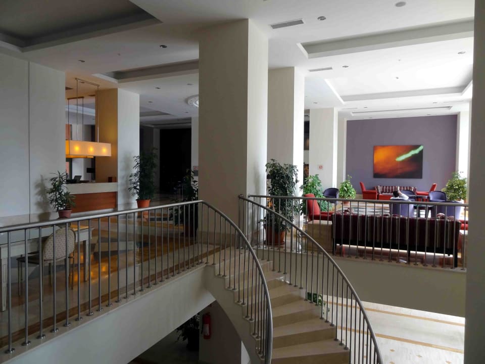 Zur Lobby  Arum Barut Collection