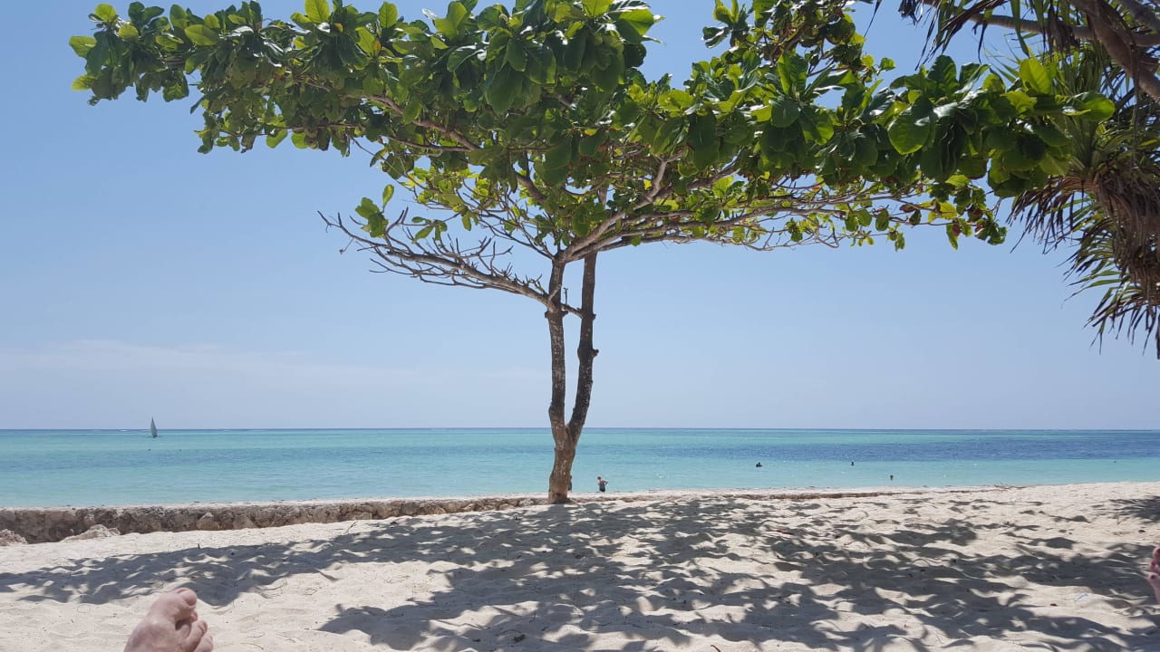 Blick von der Liege Neptune Pwani Beach Resort & Spa