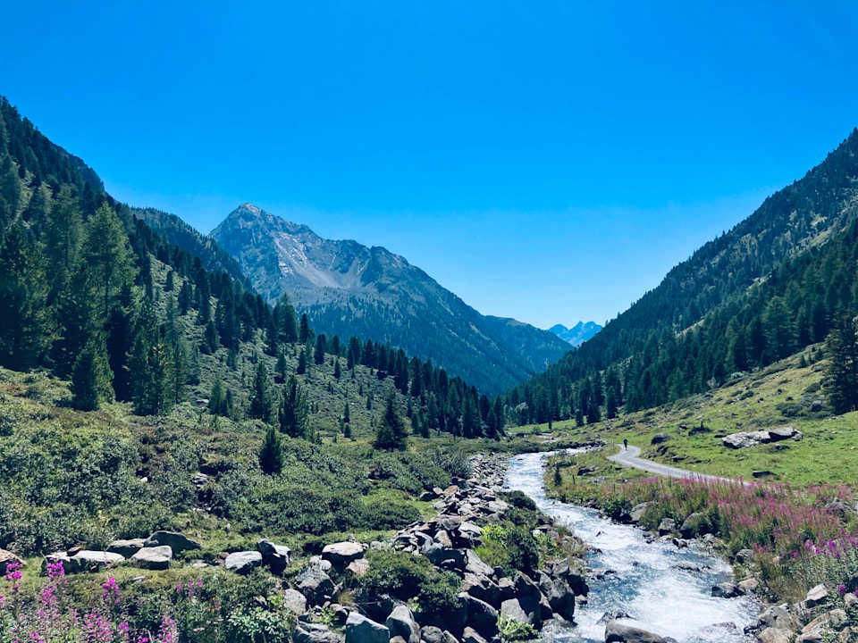 Sport & Freizeit Bio & Reiterhof der Veitenhof