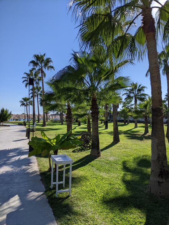 Gartenanlage Süral Saray Hotel