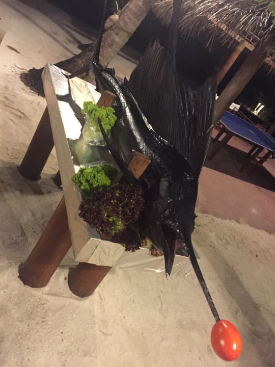 Maledivischer Abend Diamonds Thudufushi