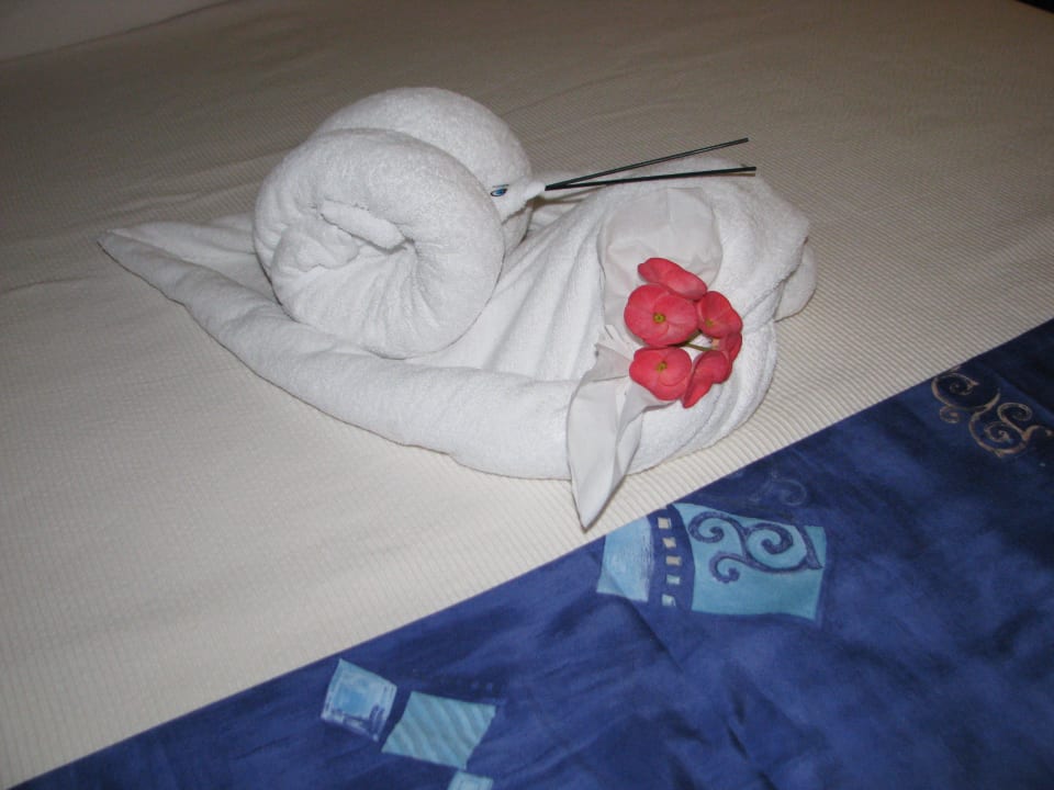 Gruß vom Zimmermädchen Catalonia Playa Maroma