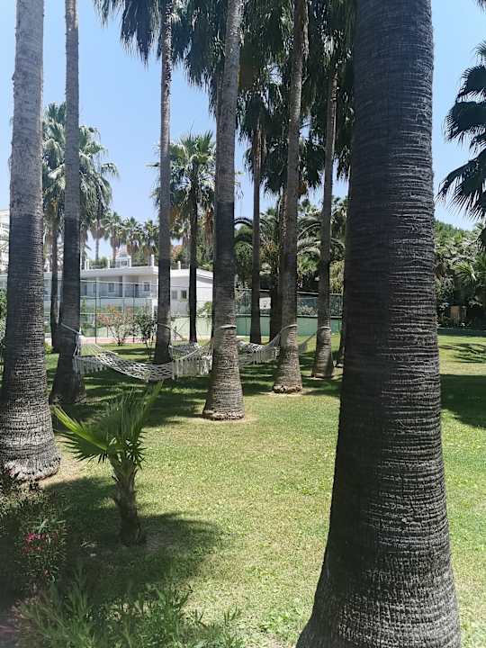 Gartenanlage Royal Atlantis Beach Hotel