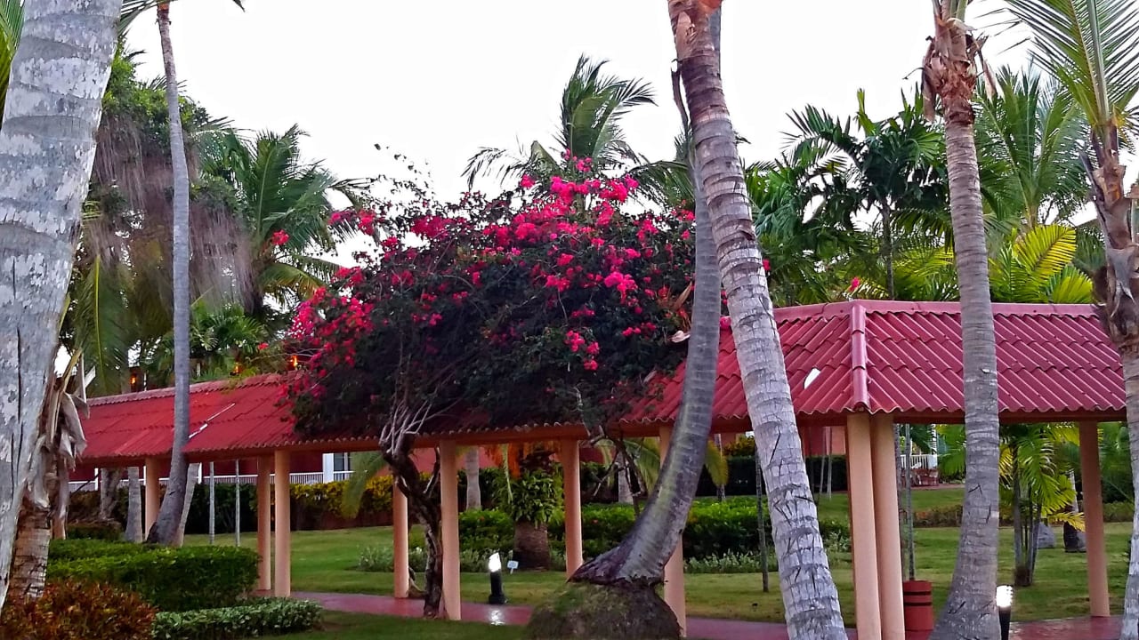 Überdachter Gartenweg Grand Palladium Select Bávaro Resort & Spa