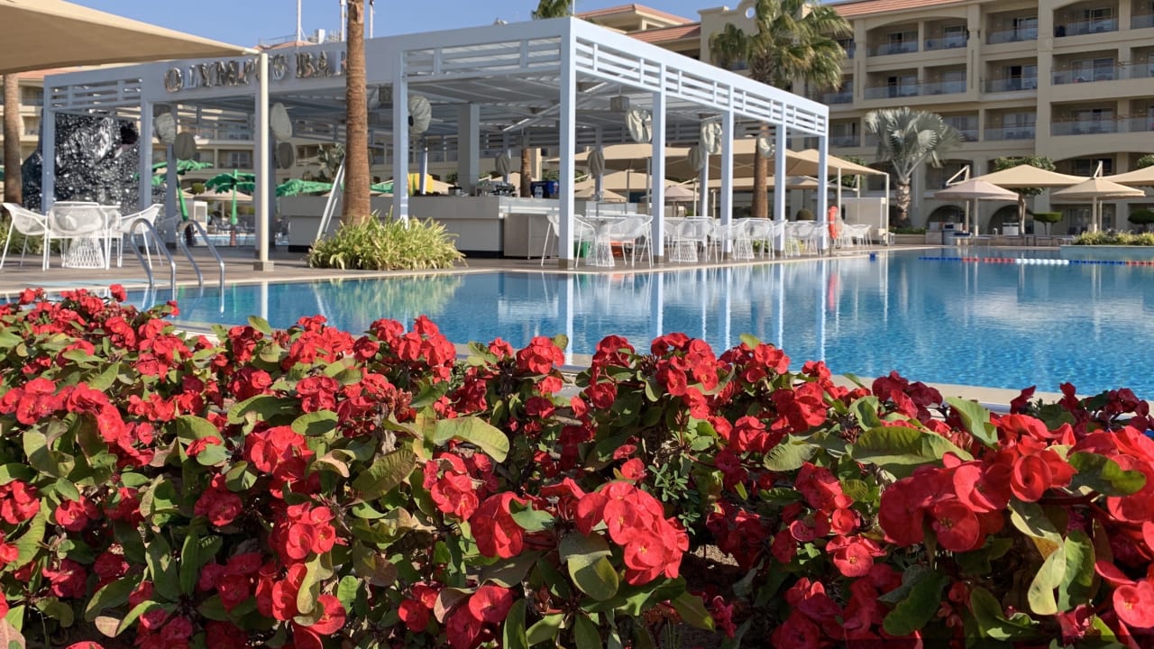 Pool Pickalbatros White Beach Resort - Hurghada