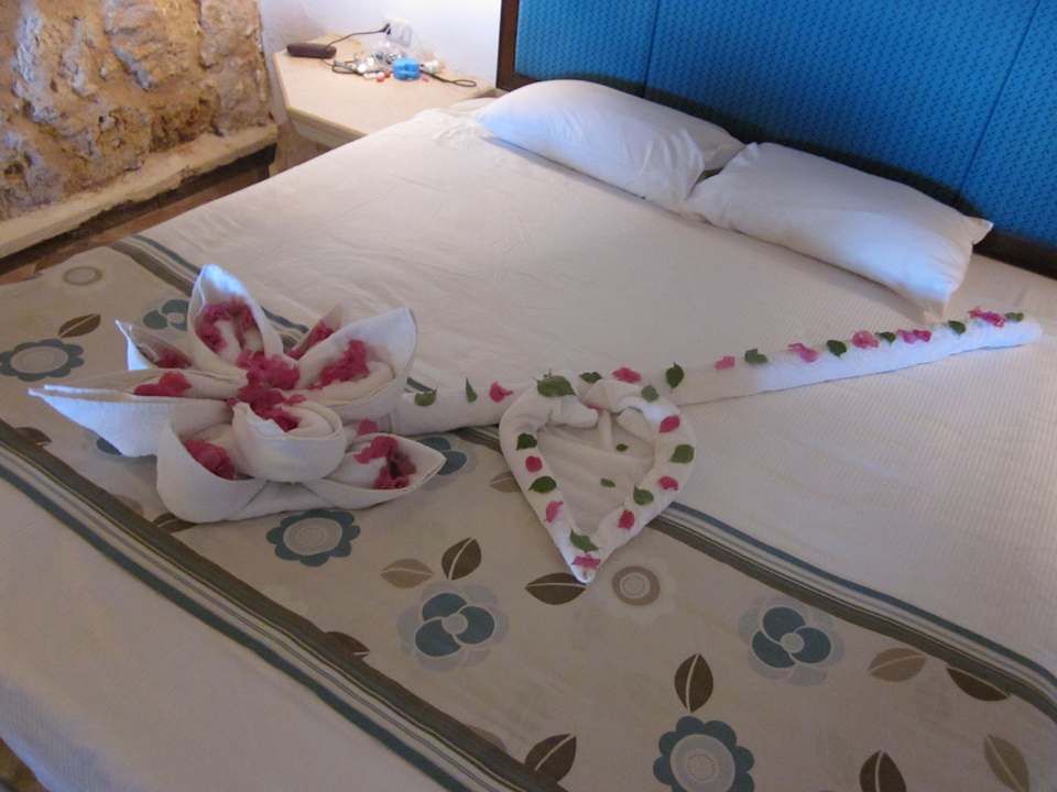 Überraschung Pickalbatros Citadel Resort