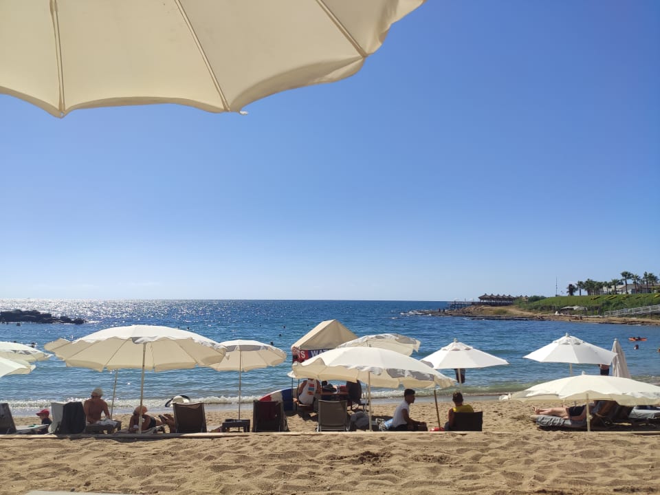 Strand Lonicera Premium - Ultra All Inclusive