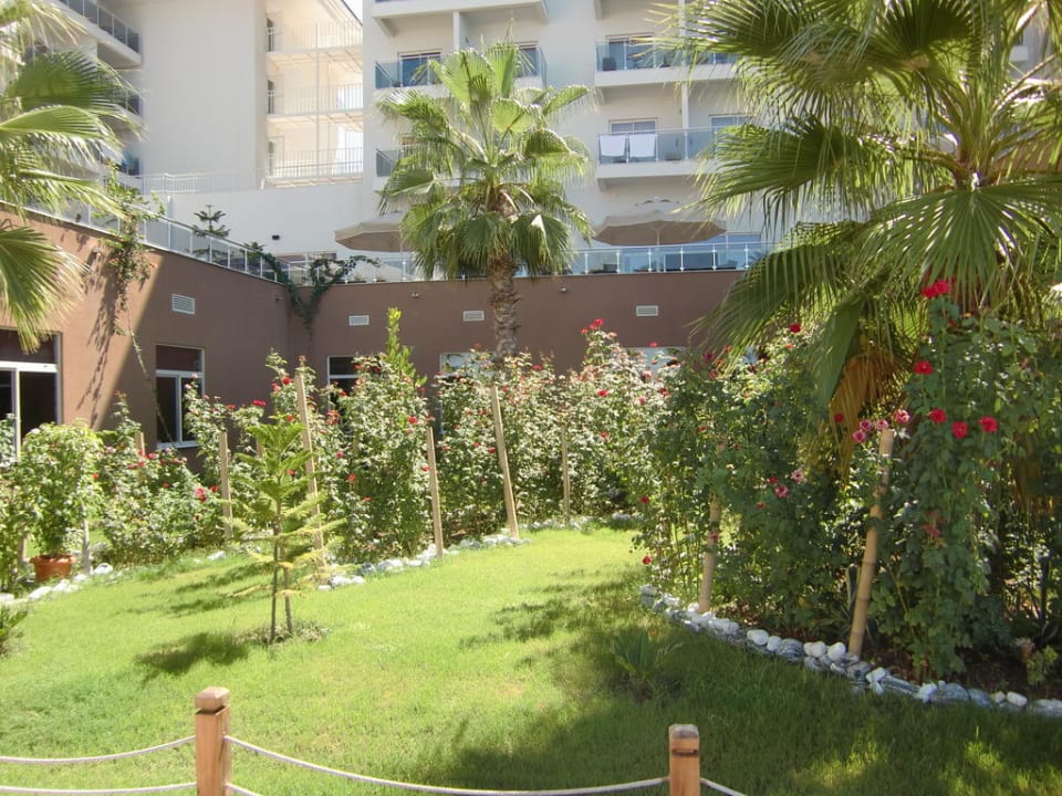 Alles top gepflegt Seaden Sea World Resort & Spa