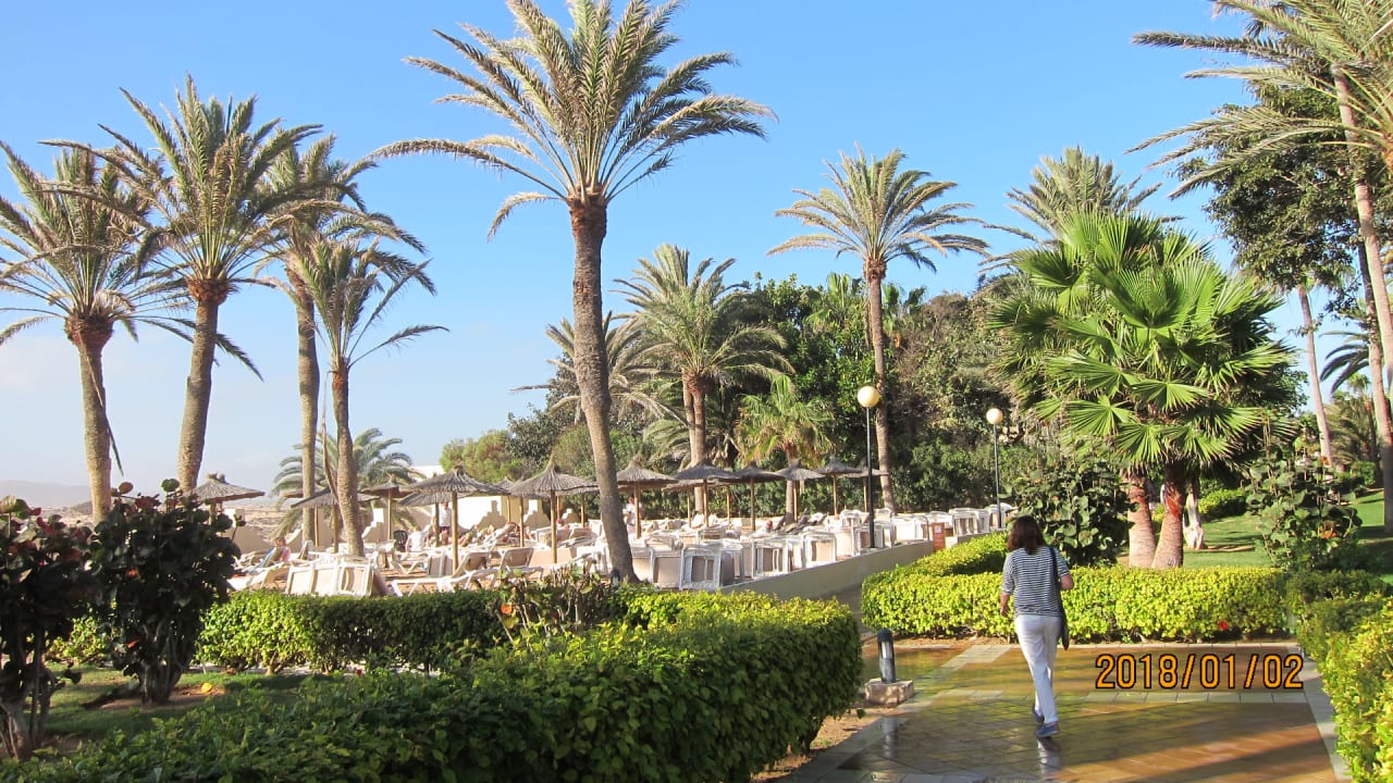 Gartenanlage Hotel Riu Oliva Beach - Hotel