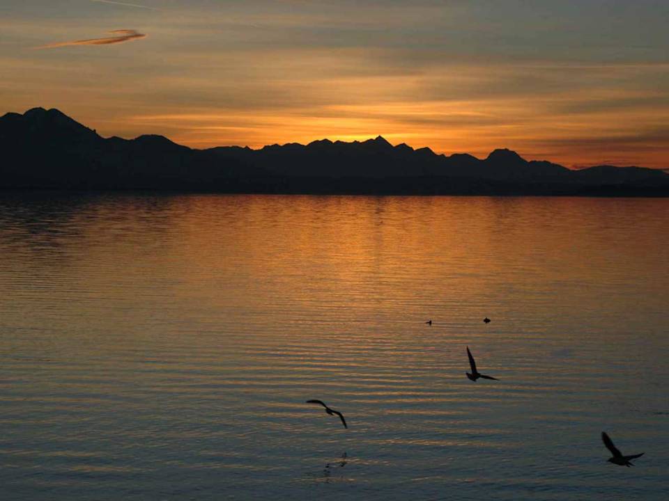 Außenansicht Ferienwohnung Patz