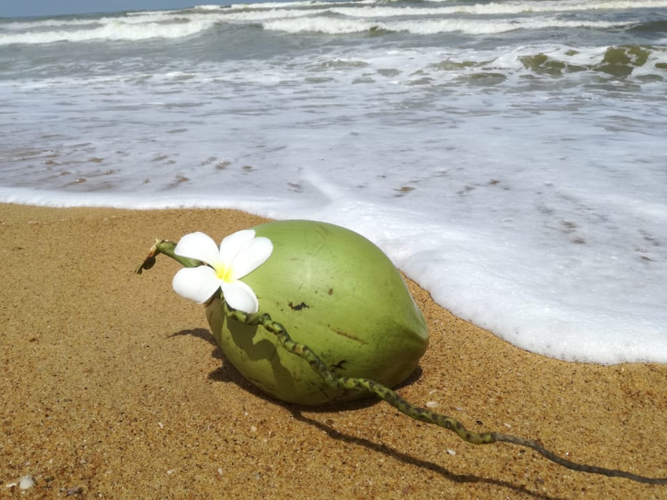 Strand Turyaa Kalutara