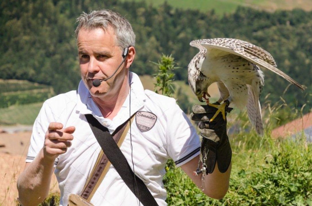 Flugshow Hotel Panorama