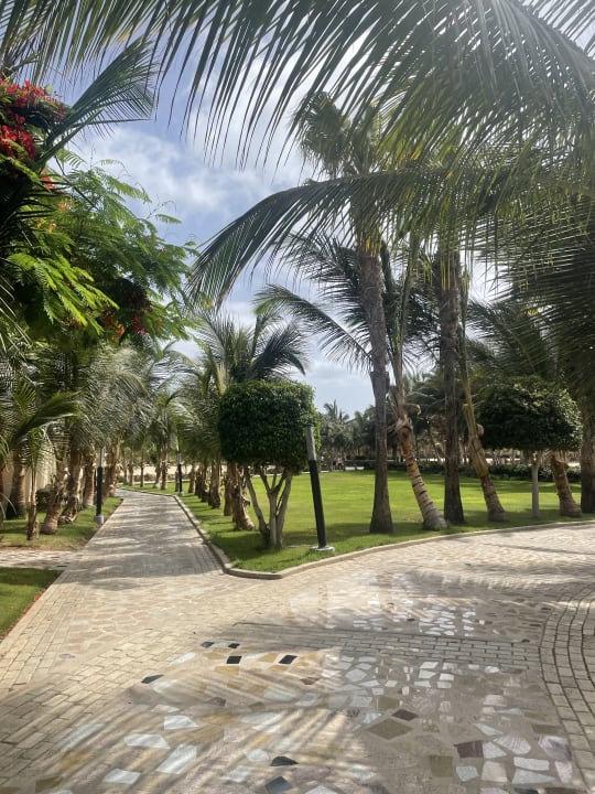 Gartenanlage Hotel Riu Cabo Verde