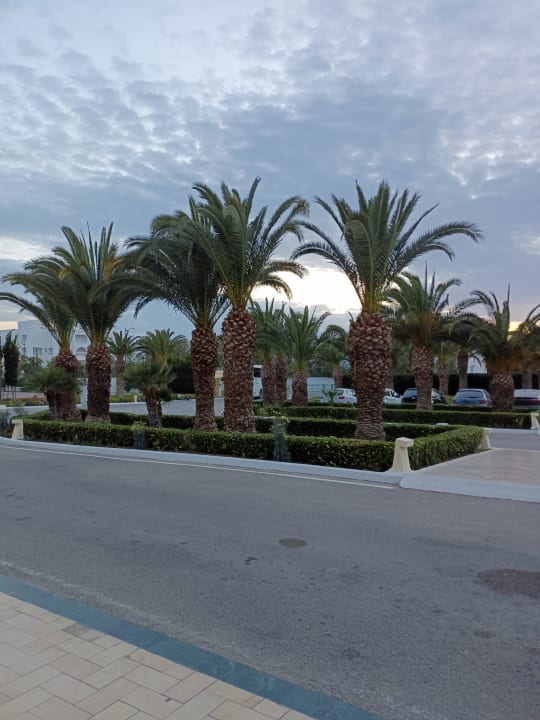 Ausblick Iberostar Waves Averroes