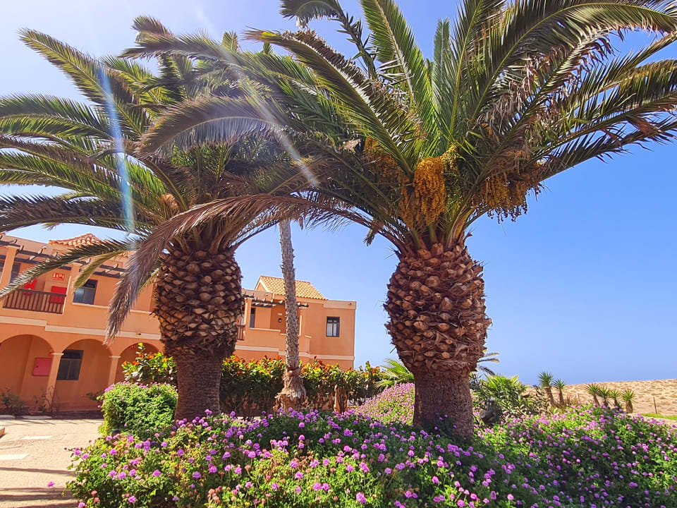 Gartenanlage Bakour Fuerteventura La Pared