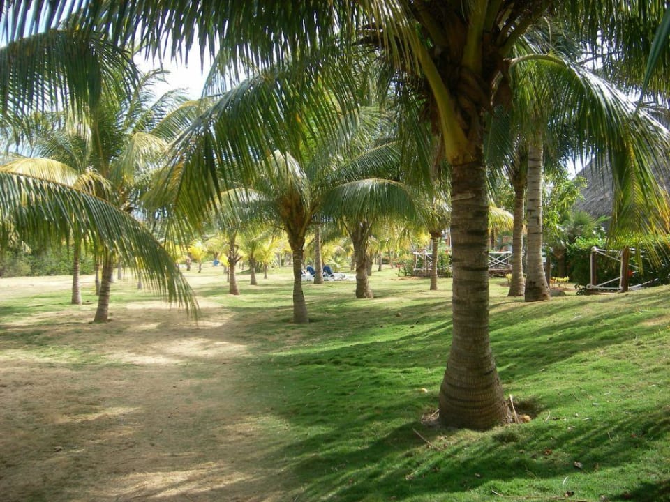 Garten Royalton Hicacos Resort & Spa - Adults only