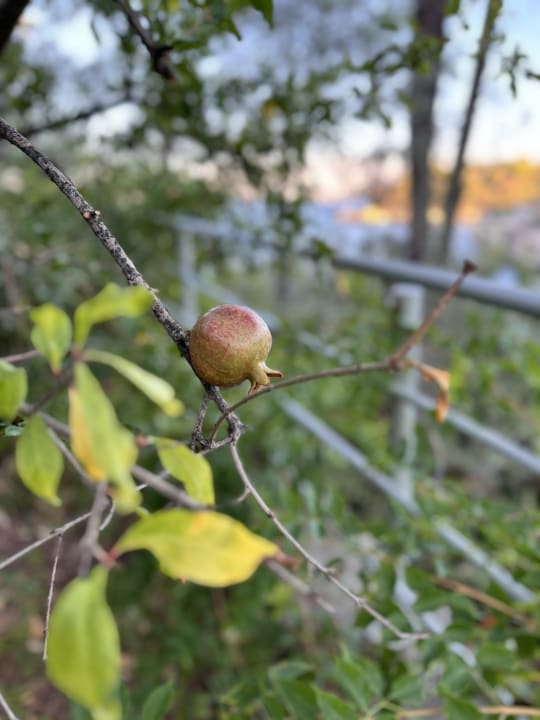 Außenansicht Club Marvy