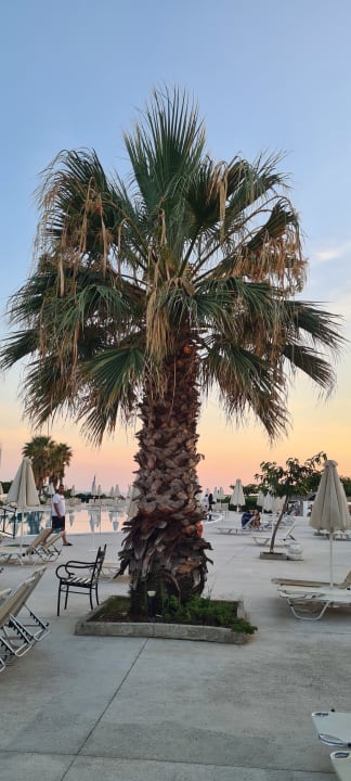 Gartenanlage Sandy Beach Resort